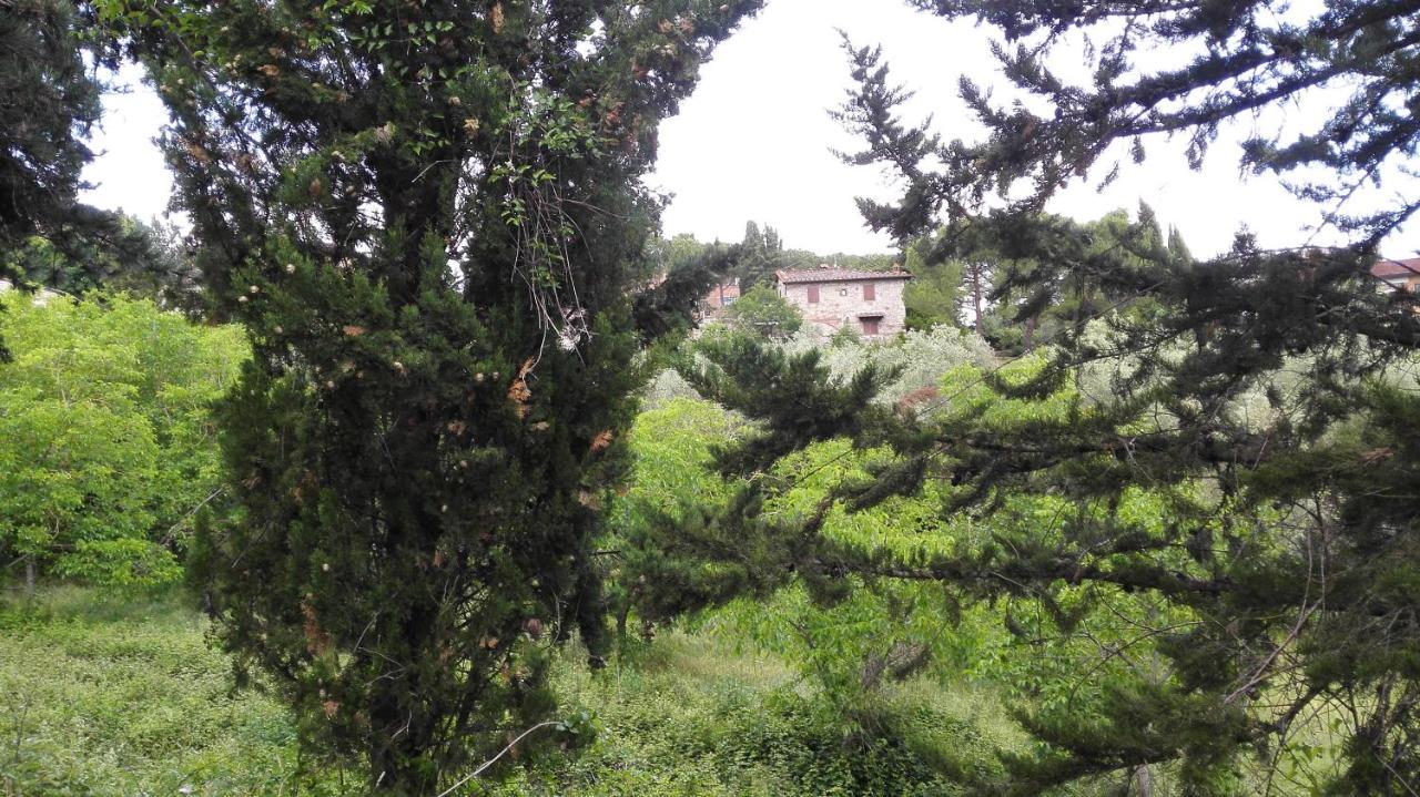 Apartamento Casa Lilio Radda in Chianti Exterior foto